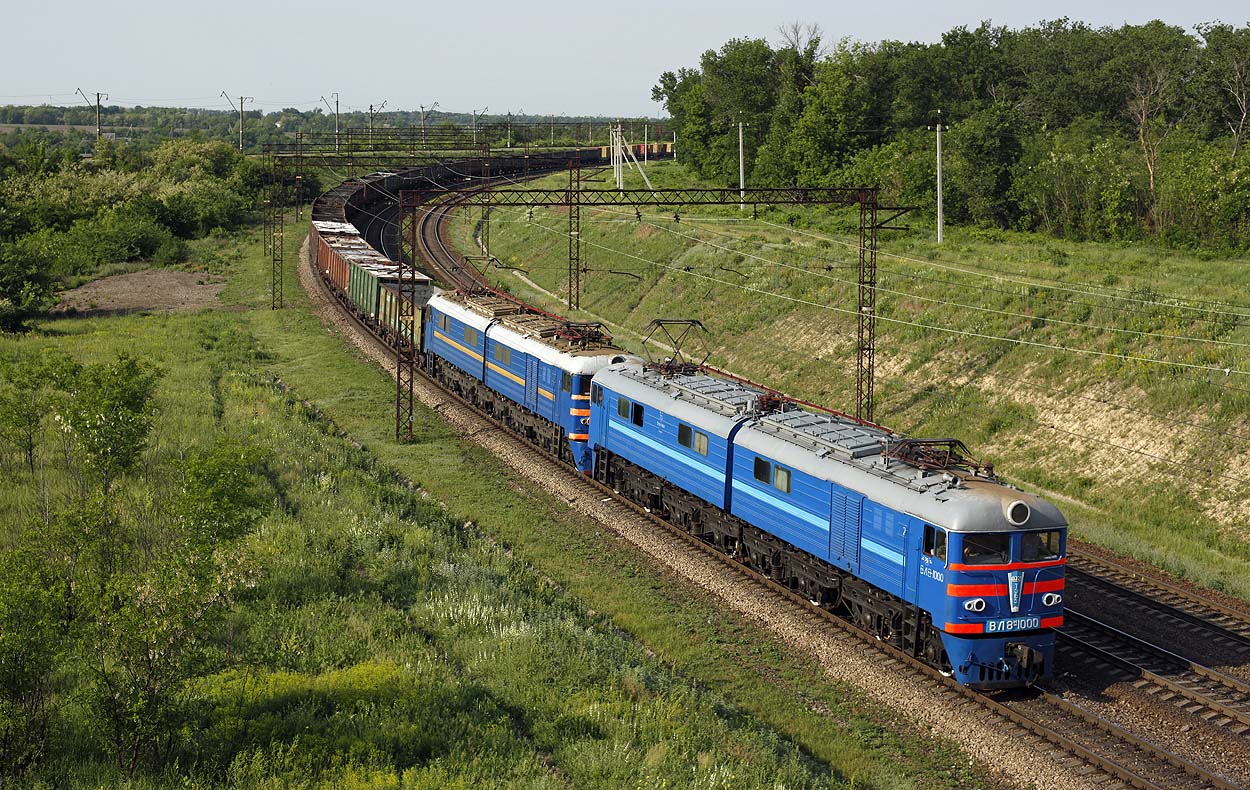 One of the highlights of the trip: both blue livered UZ WL8m-1000 and UZ WL8-941 haul a freight train from Dniprodzerzhynsk to Dnipropetrovsk near 178 KM station on 21 May 2013.